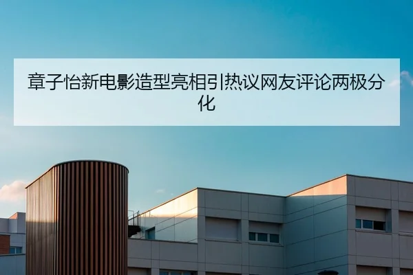 章子怡新电影造型亮相引热议网友评论两极分化