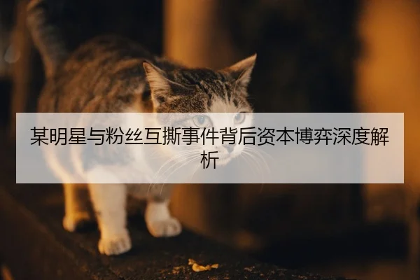 mou-ming-xing-yu-fen-si-hu-si-shi-jian-bei-hou-zi-ben-bo-yi-shen-du-jie-xi-2-225.jpg